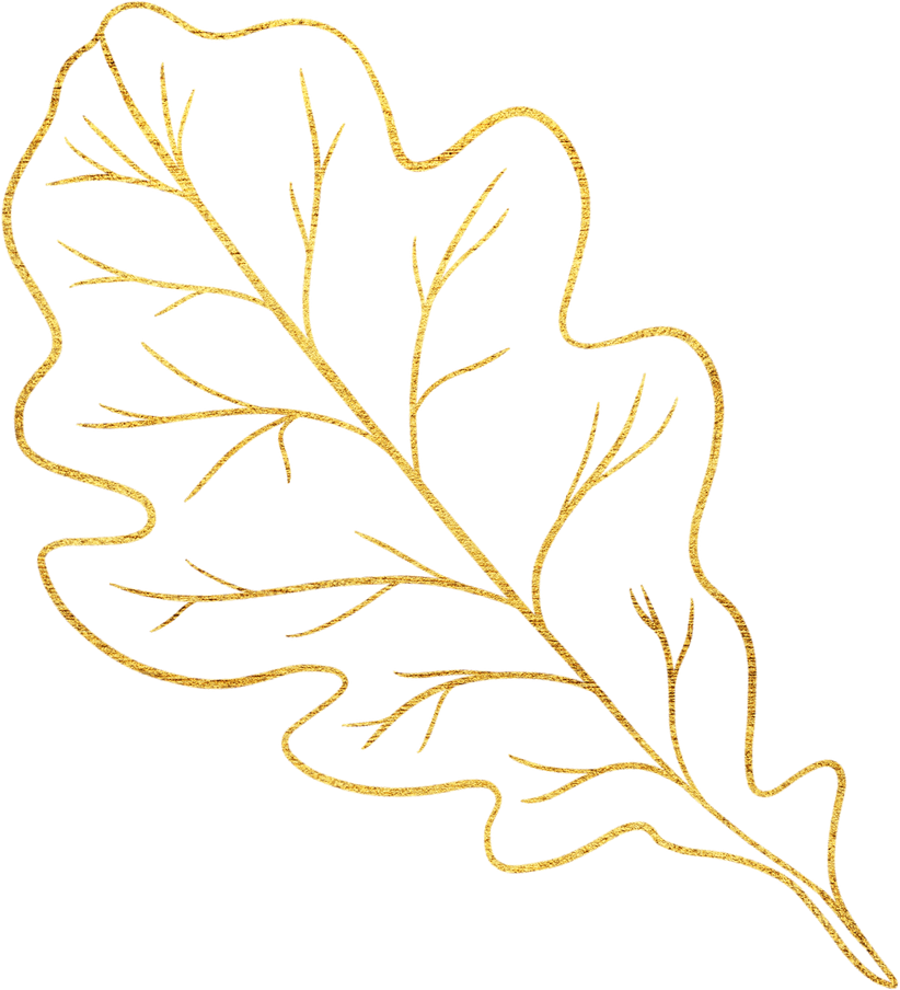 Gold Oak Leaf Line Art Cutout